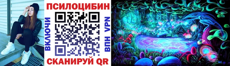 Галлюциногенные грибы MAGIC MUSHROOMS  купить  сайты  Зеленоградск 