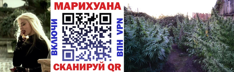 Конопля OG Kush  Зеленоградск 